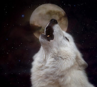Wolves